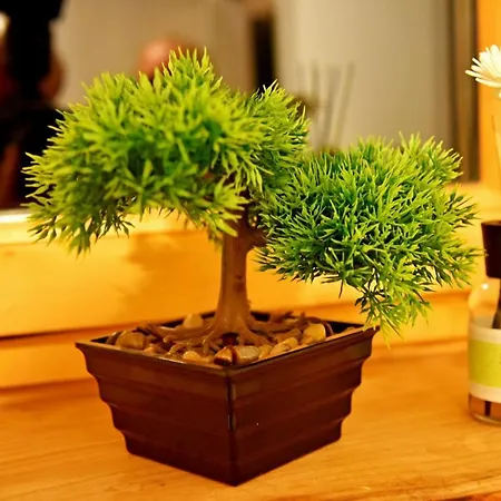 Hisa Stare Mame Nočitev z zajtrkom 3*