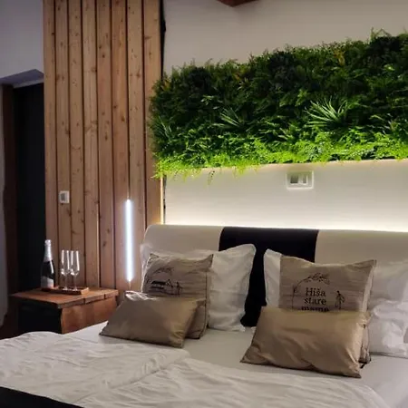 Hisa Stare Mame Nočitev z zajtrkom 3*