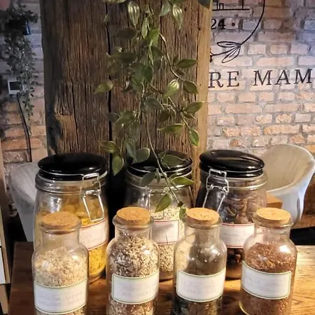 Hisa Stare Mame Bed & Breakfast 3*