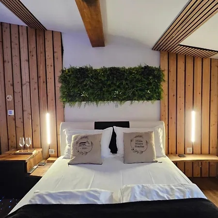 Hisa Stare Mame Bed & Breakfast Kamnik