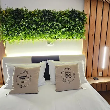 Hisa Stare Mame Bed & Breakfast