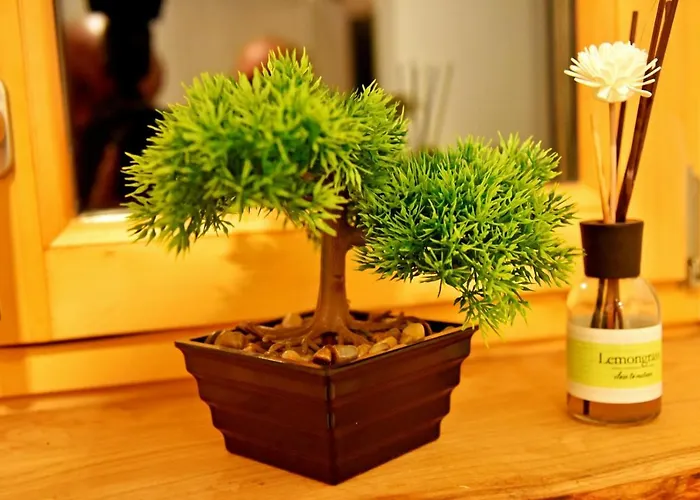 Hisa Stare Mame Bed & Breakfast 3*