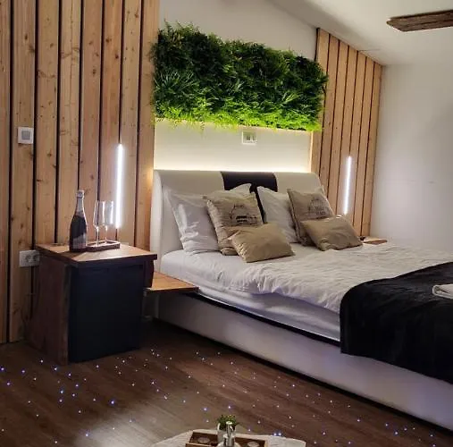 Hisa Stare Mame 캄니크