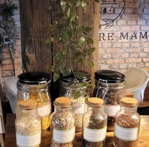 Hisa Stare Mame Bed & Breakfast 3*